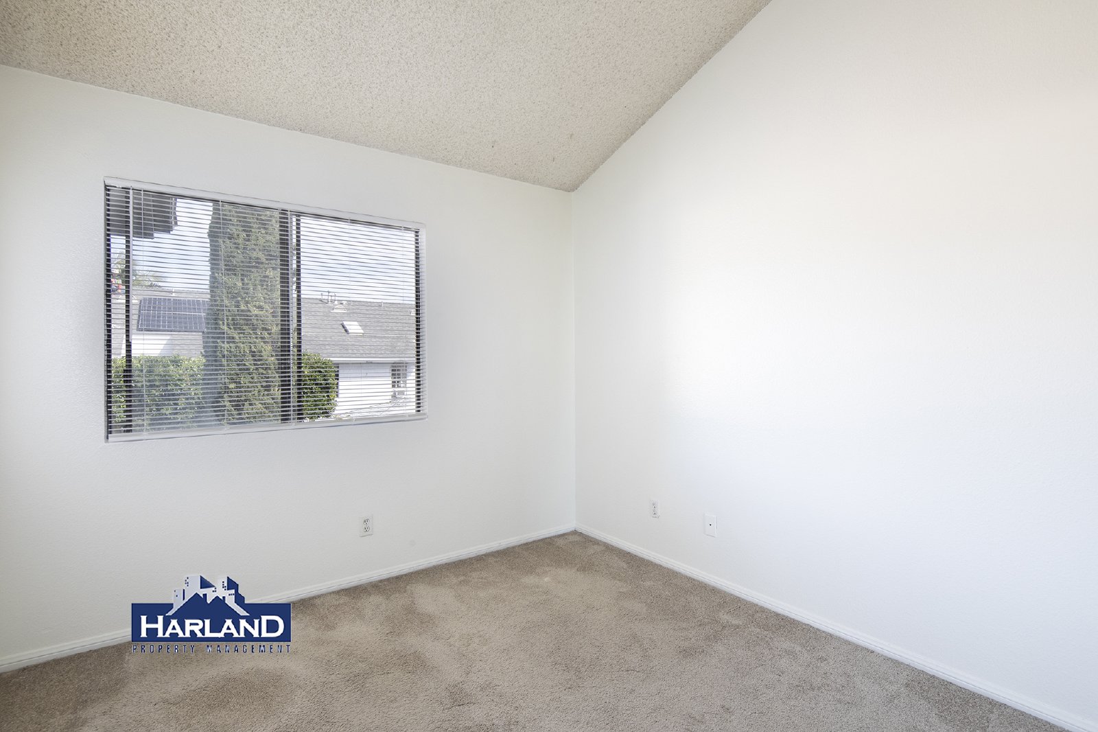 2027 Emerald Street - B property image