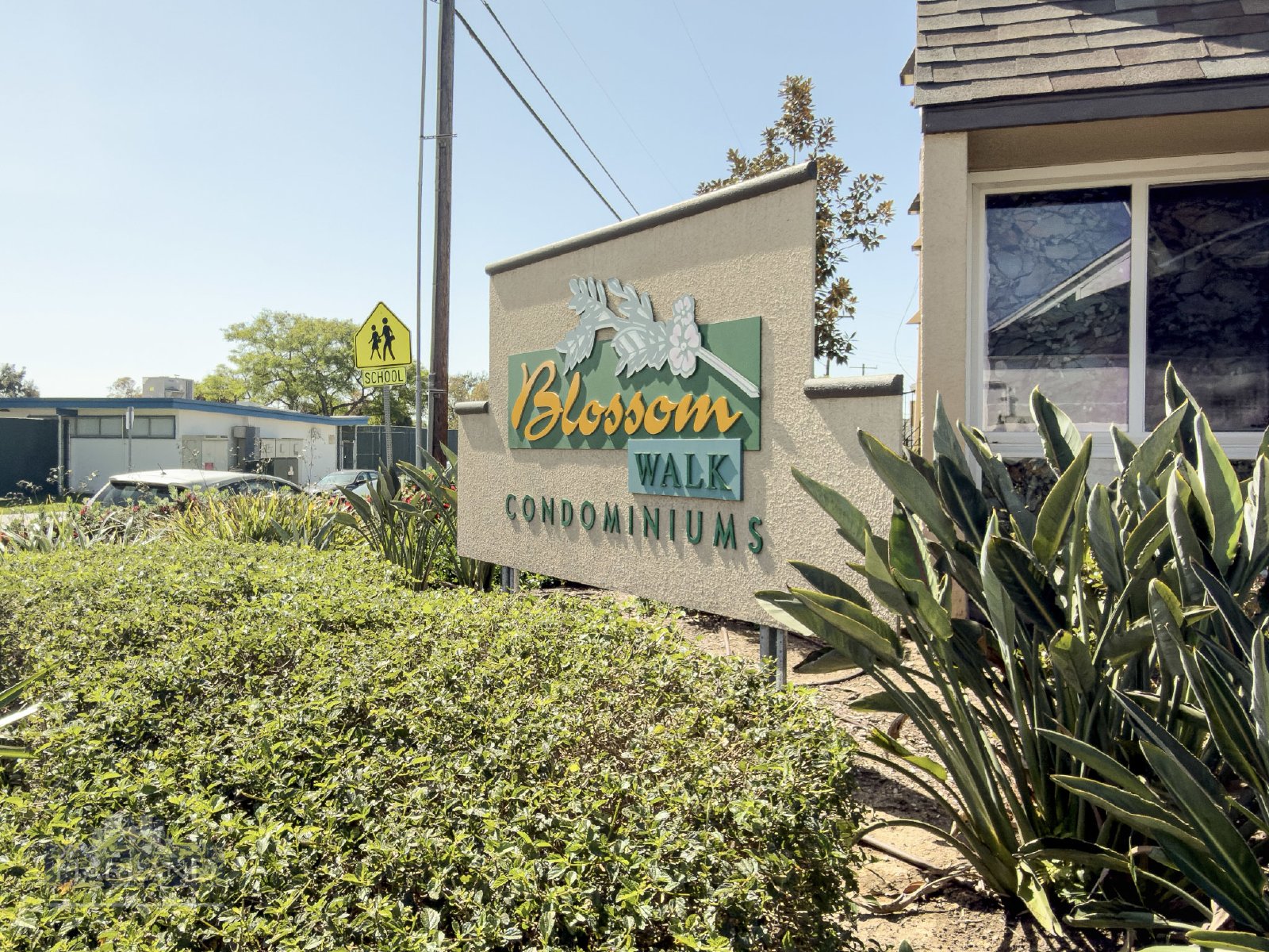 6555 Mt Ada Rd property image